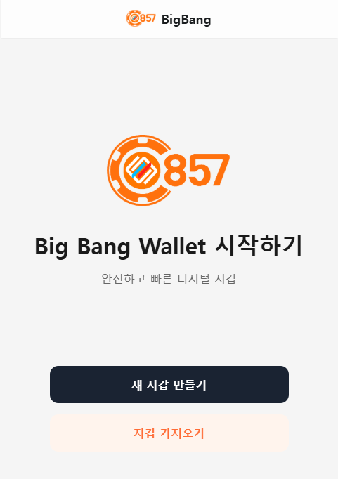 Big Bang Wallet 시작 화면